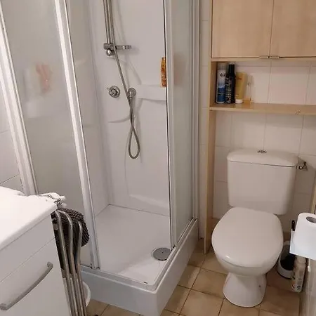 Au Bonheur Des Dames