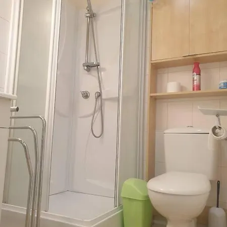 Au Bonheur Des Dames *