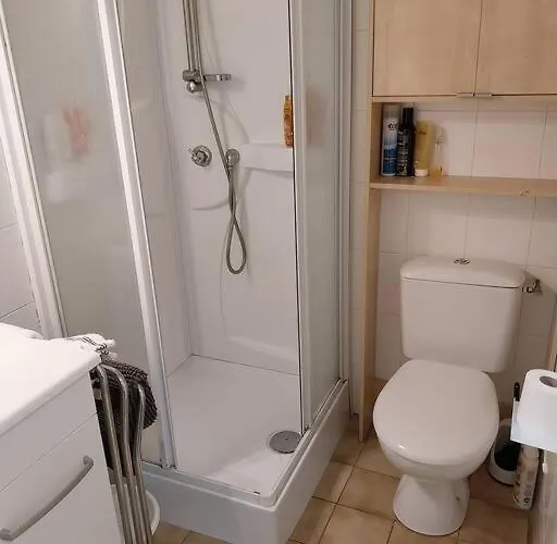 Au Bonheur Des Dames