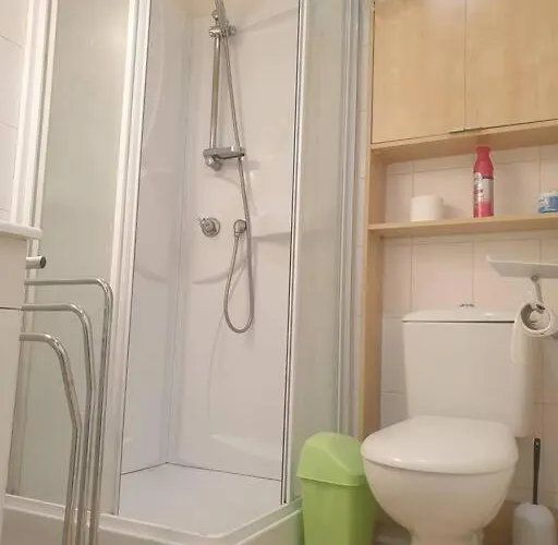 Au Bonheur Des Dames *